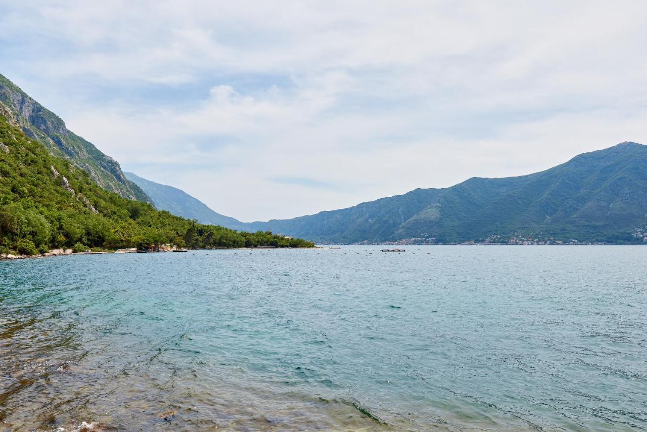 Apartman La Vista Ljuta *